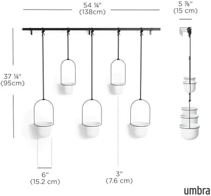 Umbra Triflora Hanging Planter, Window Herb Garden, Set of 5, White/Black
