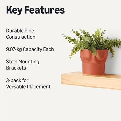 Amazon Basics Wood Floating Wall Shelves, 3-Pack, Pine, 15.8" x 5" x 1.8", Natural Wood Finish