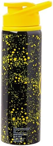 Silver Buffalo Batman Logo, Stainless Steel Water Bottle, 25oz