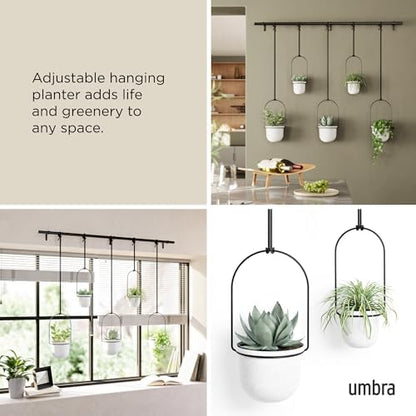 Umbra Triflora Hanging Planter, Window Herb Garden, Set of 5, White/Black