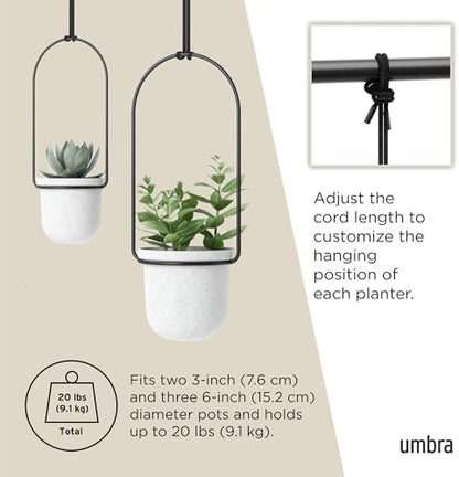 Umbra Triflora Hanging Planter, Window Herb Garden, Set of 5, White/Black