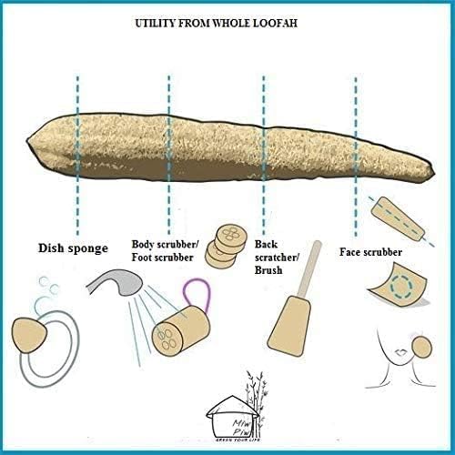 Natural Whole Loofah Sponge