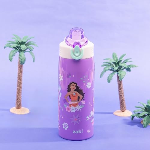 Zak Designs Disney Princess Sage Kids Water Bottle For School or Travel, 19oz Stainless Steel Water Bottle With Straw, Handle, and Leak-Proof, Pop-Up Spout Cover (Ariel, Moana, Rapunzel, Tiana)