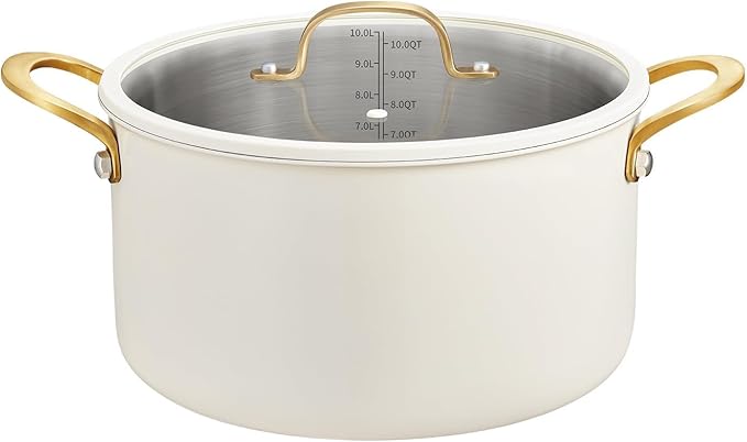 BEZIA Large Stainless Steel Stock Pot, 12 Quart Large Cooking Pot