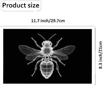 15 Animal X-ray Sets, Children's Education Science Sets, Exploring Bone Structure, Light Table Accessories in Light and Shadow Areas.