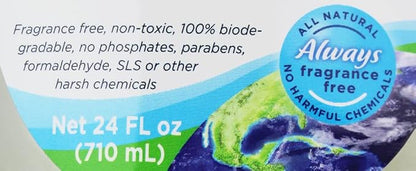 Fragrance Free, Free & Clear, Liquid Dish Soap, 12 Pk/ 24 oz (288 Fl Oz) |For Environmental Sensitivities (MCS, EI, free of MI, Sulfate, SLS) Sensitive Skin, Plant Based, Unscented