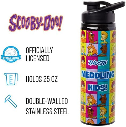 Silver Buffalo Scooby-Doo Meddling Crew, Stainless Steel Water Bottle, 25oz