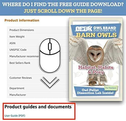 OBDK Barn Owl Pellets for Dissection - 1 Pack Jumbo Sized (2.0"-Larger) with Tools and Charts from Owl Brand Discovery Kits