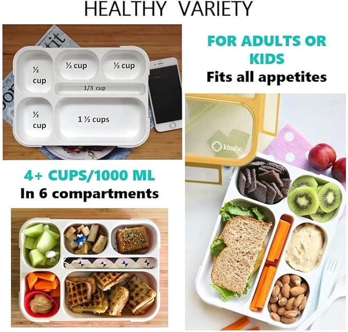 Bento-Box with Bag and Ice Pack. Lunch Boxes Snack Containers for Kids Boys Girls Adults. 6 Compartments, Leakproof Portion Container Boxes Insulated Bags for School Lunches, BPA Free, Orange