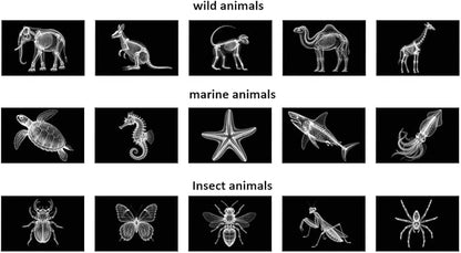 15 Animal X-ray Sets, Children's Education Science Sets, Exploring Bone Structure, Light Table Accessories in Light and Shadow Areas.