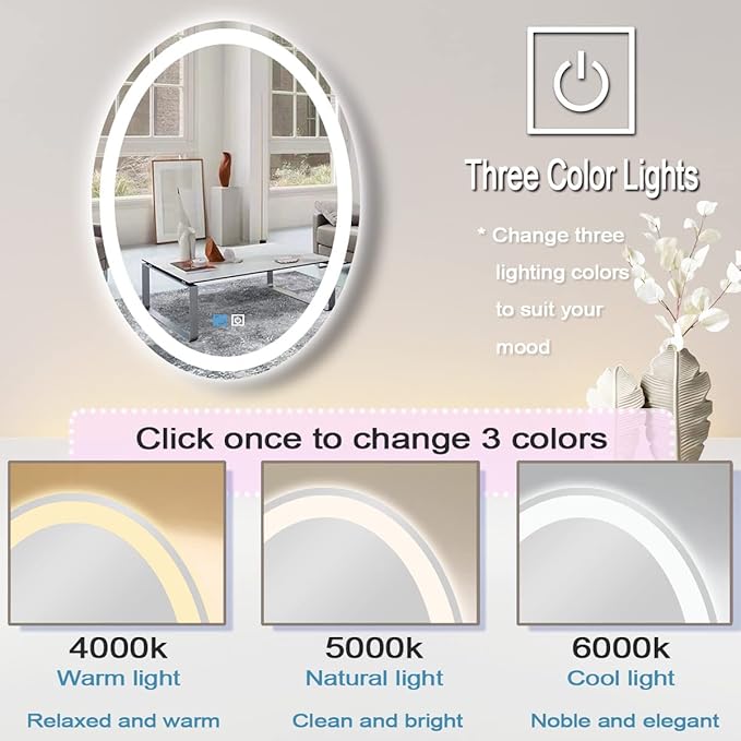 30 x 20 Inch Oval Vanity Mirror