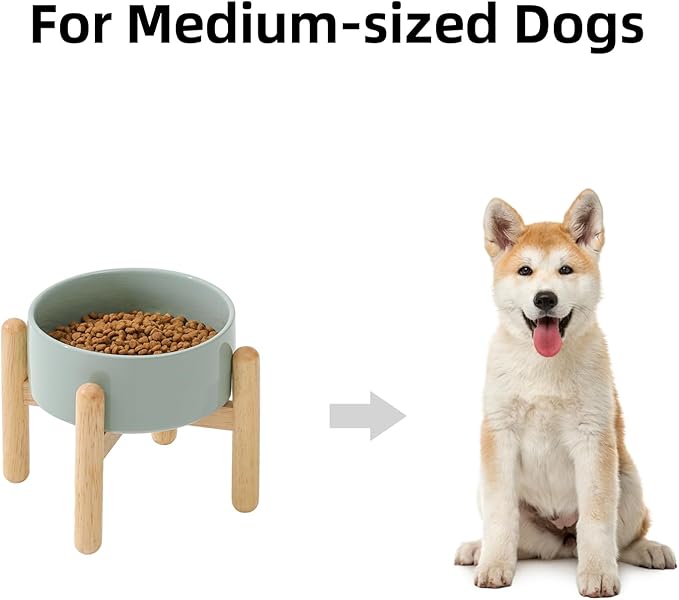 Ceramic 6.1inch Raised Dog Bowl