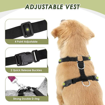 Lukovee Dog Car Harness Seat Belt, Adjustable Mesh Breathable Vest with Elastic Bungee Tether, Soft Padded 2-in-1 Safety Car Harness Seatbelt for Small Medium Large Dogs (Rose,L)