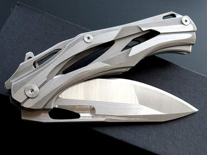 Eafengrow Folding Pocket Knife with D2 Blade Steel Handle Camping Tactical Knife (EF204-silver)