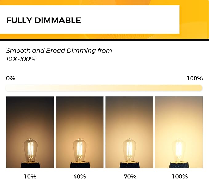 Hizashi Vintage LED Edison Bulb Dimmable, 6W Equivalent 60W, E26 Base Light