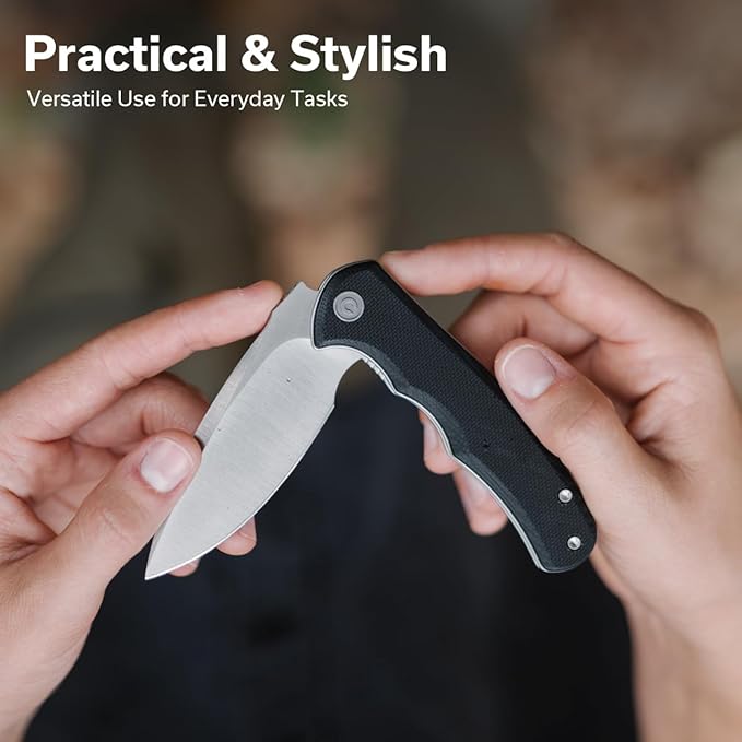 CIVIVI Mini Praxis Folding Pocket Knife, 2.98" D2 Steel Blade G10 Handle Small EDC Knife with Pocket Clip for Men Women, Sharp Camping Survival Hiking Knives C18026C-2