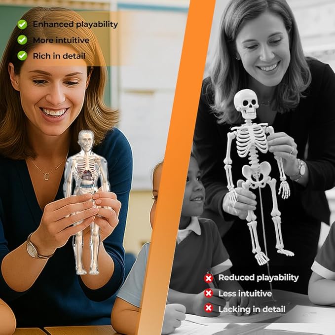 Clear Human Body Structure Model, Removable 3D Body Model Kit with Brain and Body Torso, Physiology Study Tools, STEM Children Educational Toys Gifts for Boys and Girls