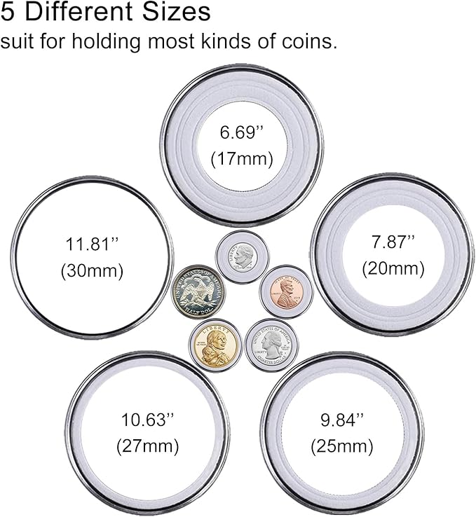 240 Pcs 30mm Coin Capsules Holder with Foam Gasket and Plastic Storage Organizer Box, 5 Sizes (17/20/25/27/30mm) Coins Collector Case Protector for Coin Collection Supplies