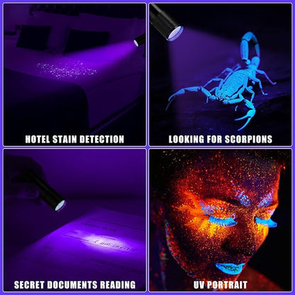 Hortsun Blacklight Flashlights Small UV Lights 395nm LED Portable Ultraviolet Light Detector Mini Flashlight Torch for Halloween Ghost Haunted House Dog Cat Pets Urine Stains Bed Bugs(15 Pcs)