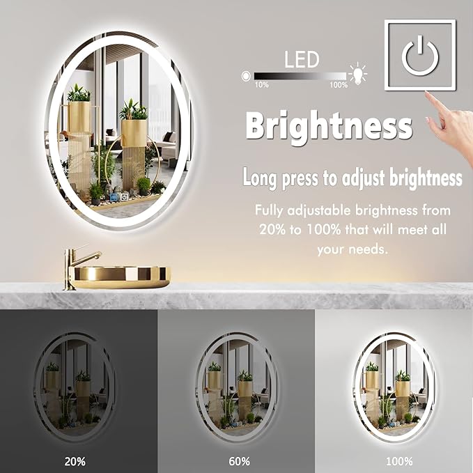 30 x 20 Inch Oval Vanity Mirror