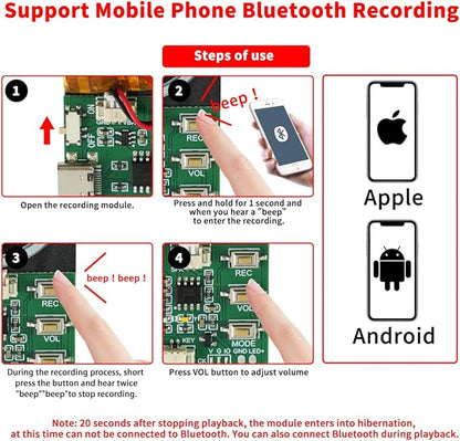 Bluetooth & MIC Recording Audio Sound Module, 8MB Voice Chips