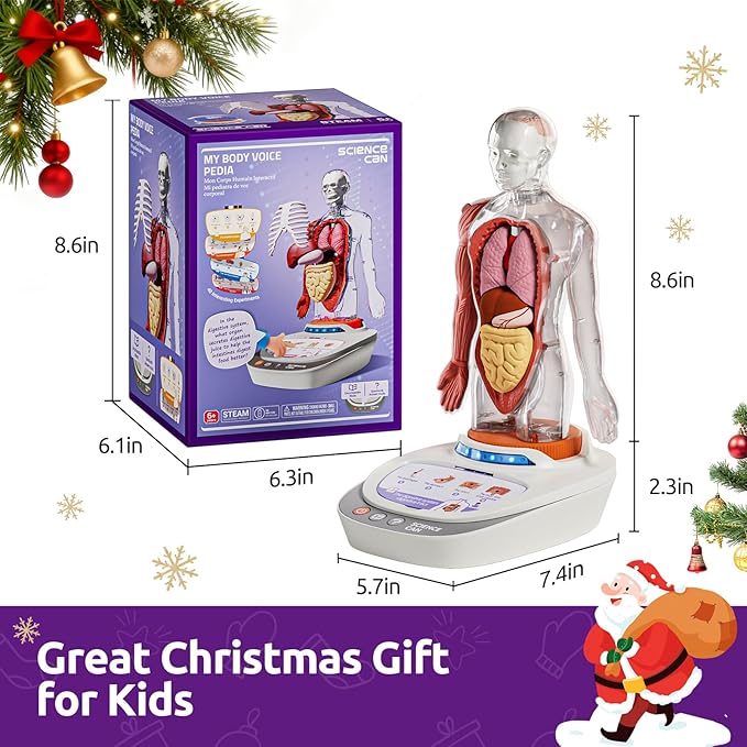 Science Can Human Body Model for Kids, Interactive Human Anatomy Talking Model - 11 Inch Realistic Anatomical Assembly Kit, 15PCS Removable Parts & Guide, Educational STEM Toys Gifts for Kids Aged 6+