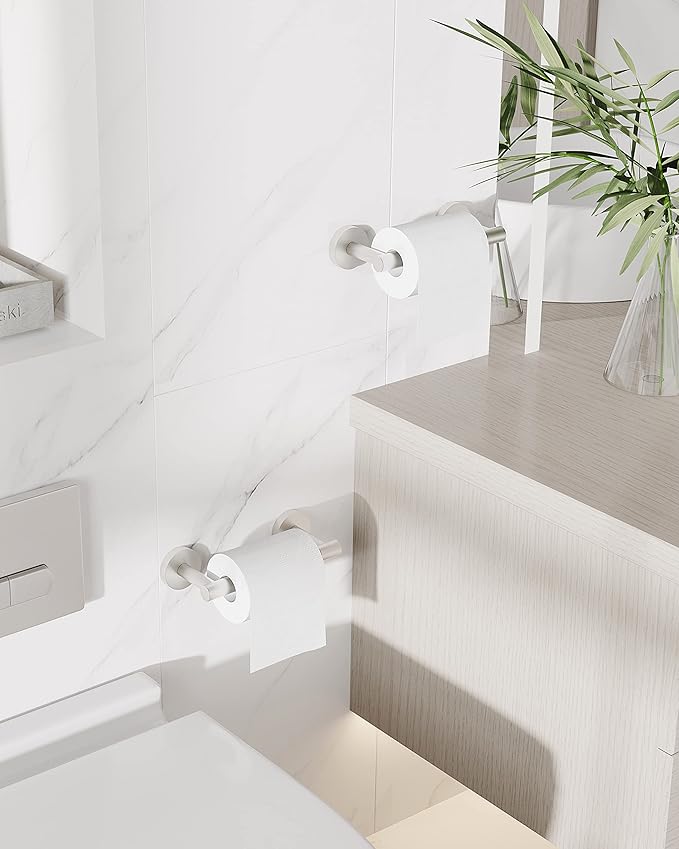 RARXTR Brushed 2 Pack Toilet Paper Holder SUS304 Stainless Steel Double Post