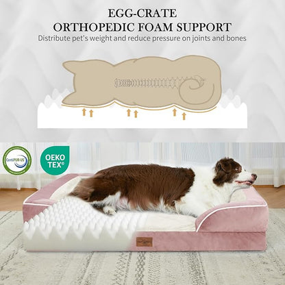 Comfort Expression Orthopedic Dog Bed