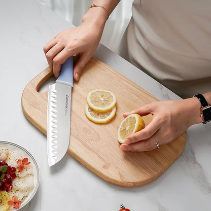 Astercook Kitchen Knife Set