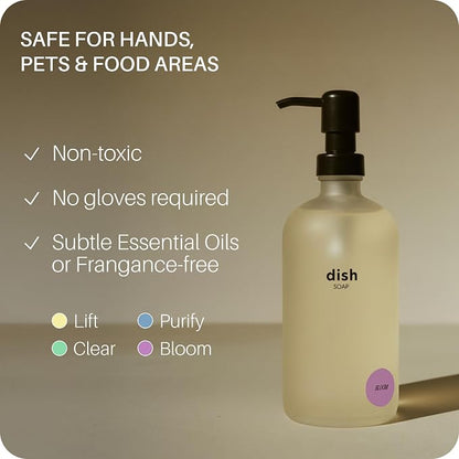 Everneat Ultra-Concentrated Dish Soap (Bloom) | Lavender, Clary Sage, Copaiba & Orange EO | Plant-Based, Cuts Grease, For Handwash + Dishwasher| Eco-Friendly, Refillable Glass Bottle (16oz)