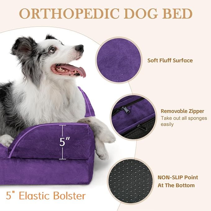 Comfort Expression Orthopedic Dog Bed