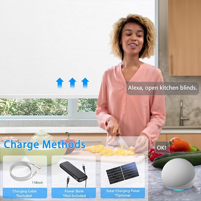 COOLWINDS Motorized Blinds