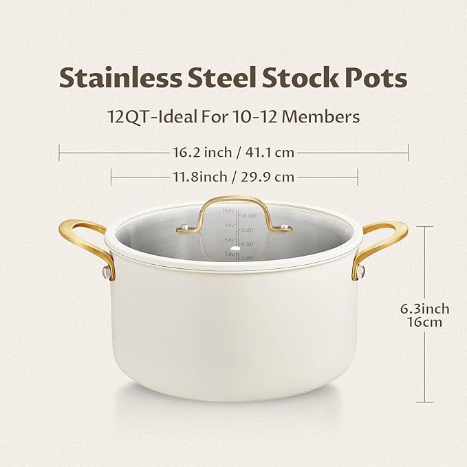 BEZIA Large Stainless Steel Stock Pot, 12 Quart Large Cooking Pot