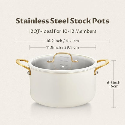 BEZIA Large Stainless Steel Stock Pot, 12 Quart Large Cooking Pot