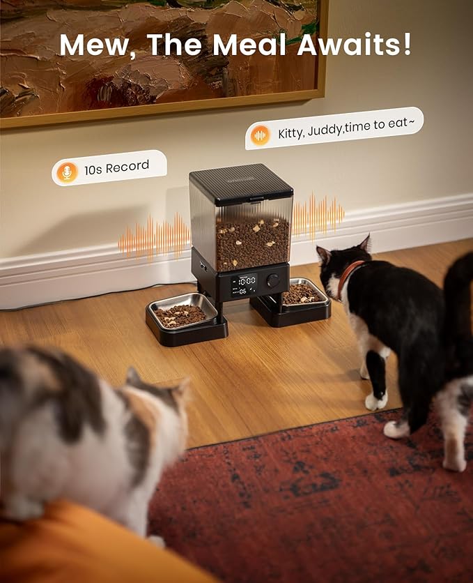 oneisall Automatic Cat Feeder for 2 Cats, 20 Cups/5L Automatic Cat Food