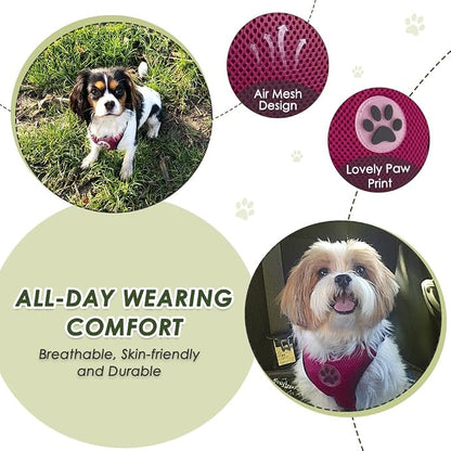 Lukovee Dog Car Harness Seat Belt, Adjustable Mesh Breathable Vest with Elastic Bungee Tether, Soft Padded 2-in-1 Safety Car Harness Seatbelt for Small Medium Large Dogs (Rose,L)