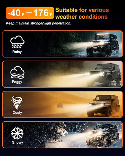 9003/H4 Halogen Headlight Bulb, 12V 55W Head Lamps, 4000 Lumens, 3800K，H4 Head Light Bulbs for Car, High and Low Beam，Automotive Light Bulbs，Pack of 2