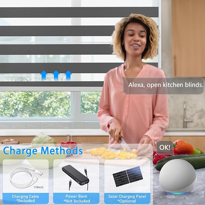 COOLWINDS Motorized Zebra Blinds