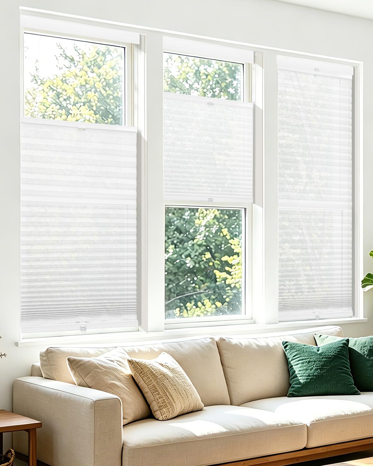 Allesin Top Down Bottom Up Cordless Cellular Shades,Thermal Insulation Honeycomb Blinds for Indoor Windows,(Clear White,34"x60")