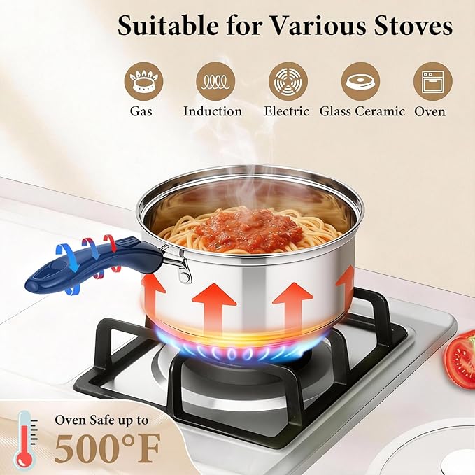 Stainless Steel Saucepan with Lid Set