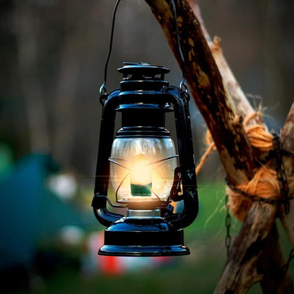30Pcs Lantern Mantles, U Shape Mantles for Propane Lantern, Propane Lanterns Mantles for Outdoor Camping Lantern Natural, Gas Lantern Covers Mantles for Lantern
