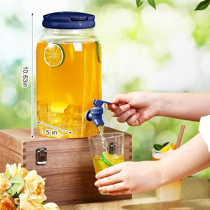 Havawish 2 Pcs 1 Gallon Plastic Beverage Dispenser