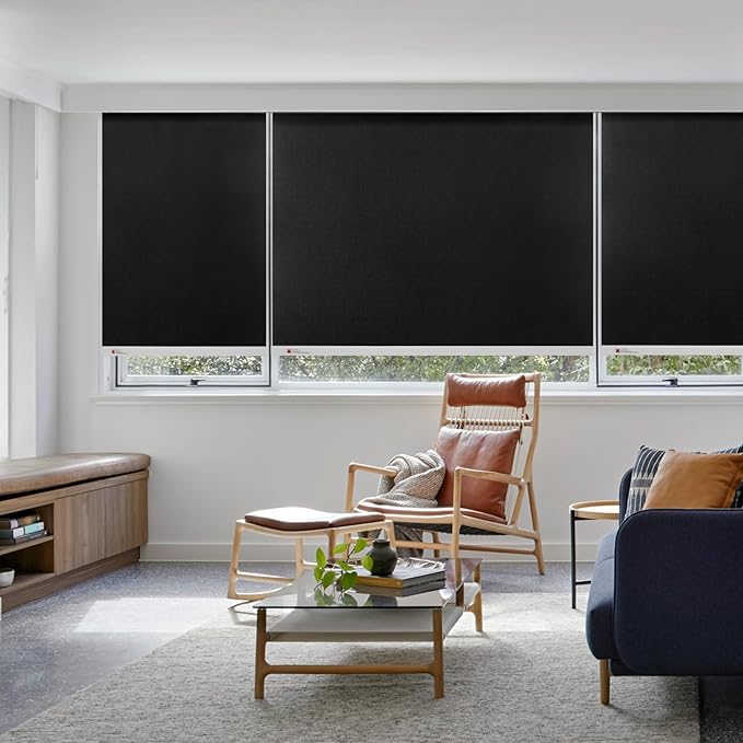 ZSTARR Motorized Smart Blind for Window, Automatic Blackout Roller Shade