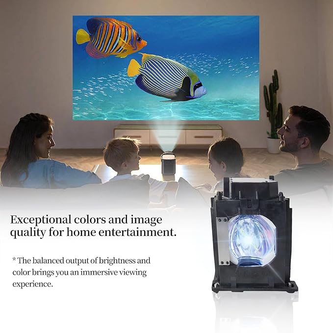 SORNEICDR 915P049010 Replacement Projector Lamp Bulb Compatible