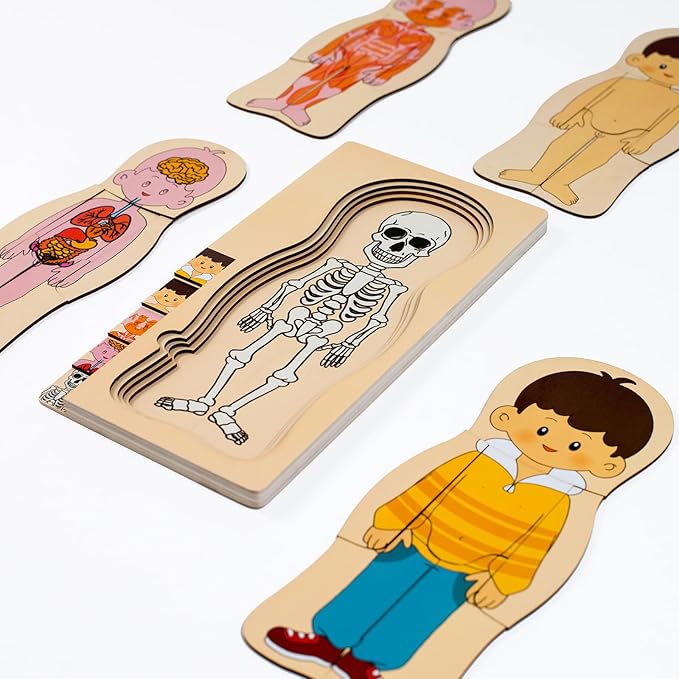 My Body Parts Puzzle for Toddlers Girls Boys Wooden Anatomy Puzzle 3-8 Years Old Preschool Learning Game Human Body Skeleton Toys