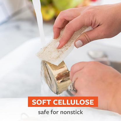 Full Circle Coconut Scrubber Sponges, Plant-Based Sponges Made