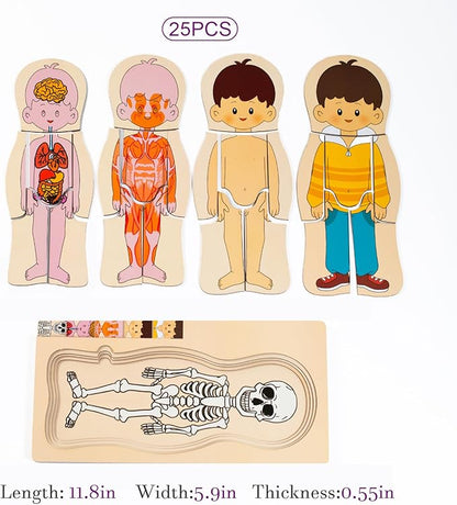 My Body Parts Puzzle for Toddlers Girls Boys Wooden Anatomy Puzzle 3-8 Years Old Preschool Learning Game Human Body Skeleton Toys