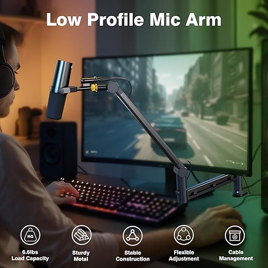 AA AUDIO ACCESSORY Low Profile Mic Boom Arm