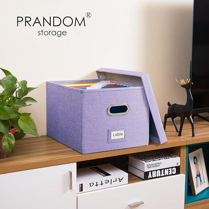 PRANDOM File Organizer Box