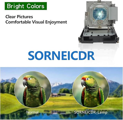 SORNEICDR BL-FU310B / 5811118436-SOT Replacement Projector Lamp Bulb Compatible